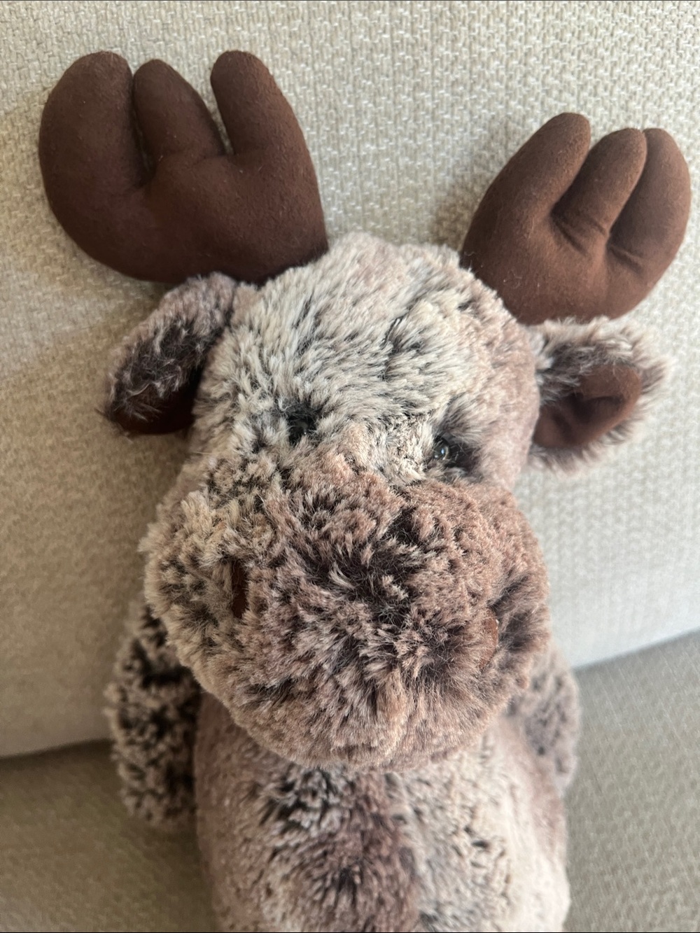 Jellycat London Medium Bashful Woodland Marty Moose Plush Stuffed Animal Toy - Picture 2 of 6